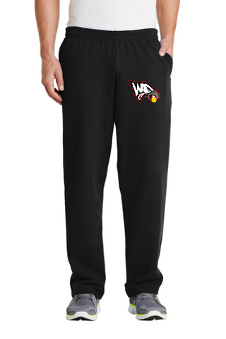 WCT Eagles Unisex Open bottom sweatpant with embroidered eagle head