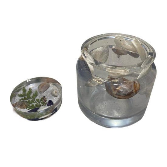 Large Jar With Shells