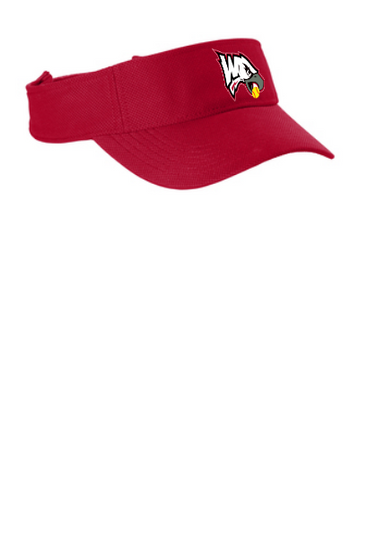 WCT Eagles Visor